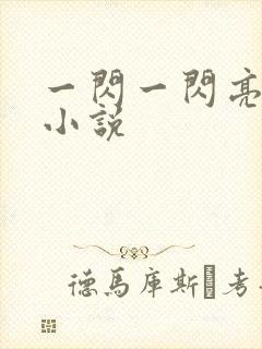 一闪一闪亮星星小说封面