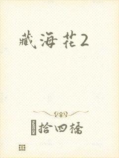 藏海花2