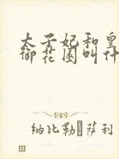 太子妃和皇帝在御花园叫什么小说封面