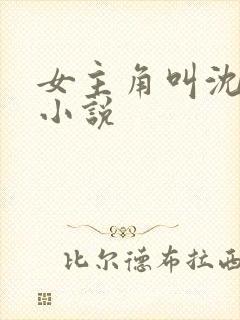 女主角叫沈o的小说
