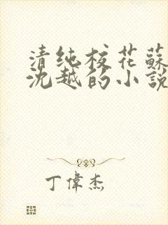 清纯校花苏软和沈越的小说
