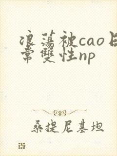 浪荡被cao日常双性np