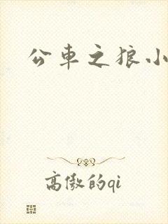 公车之狼小说