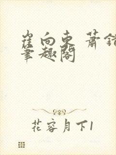 崔向东 萧错 笔趣阁