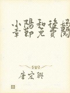 小阳和后妈全部章节免费阅读