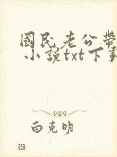 国民老公带回家 小说txt下载封面