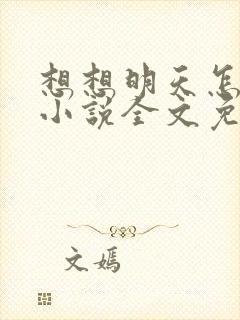 想想明天怎么办小说全文免费阅读封面