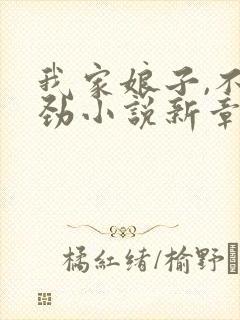 我家娘子,不对劲小说新章节列表
