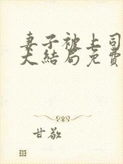 妻子被上司小说大结局免费阅读封面