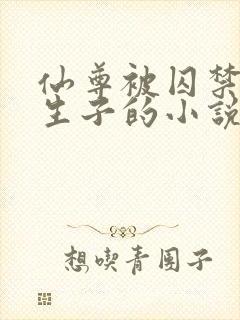仙尊被囚禁改造生子的小说