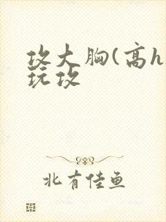 攻大胸(高h)玩攻