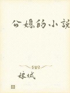 公媳的小说