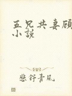 五兄共妻顾心儿小说