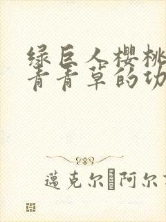 绿巨人樱桃荔枝青青草的功效封面