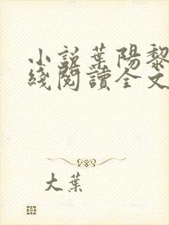 小说叶阳黎洁在线阅读全文免费