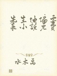 先生他偏要偷着来小说免费阅读