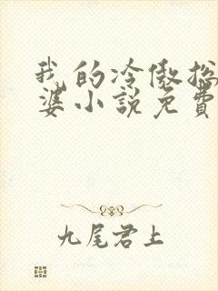 我的冷傲总裁老婆小说免费阅读
