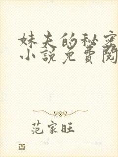 妹夫的秘密赵刚小说免费阅读