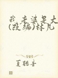 我老婆是大明星(改编)林凡