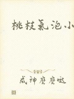 桃枝气泡小说封面