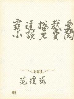 霸道总裁爱上我小说免费阅读全文