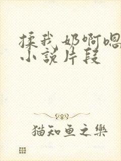 揉我奶啊嗯高潮小说片段封面