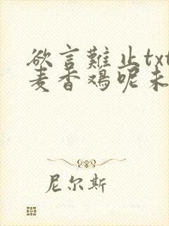 欲言难止txt麦香鸡呢未删减