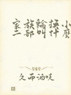 家族轮换小说第二部叫什么名字封面