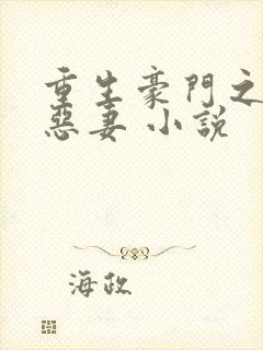重生豪门之独宠恶妻 小说