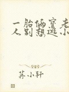 一胎俩宝老婆大人别想逃小说免费阅读