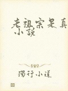老祖宗是真的狂 小说