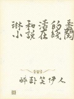 琳和涛的番外篇小说在线阅读