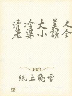 清冷大美人是我老婆小说全文阅读