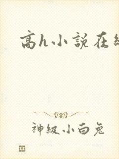 高h小说在线看