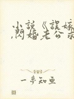 小说《误嫁豪门,闪婚老公求见面》