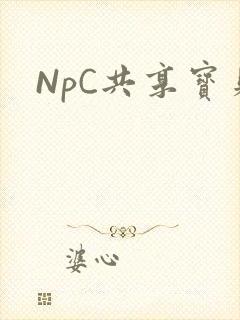 NpC共享宝贝