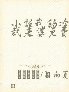 小说我的冷艳总裁老婆免费阅读