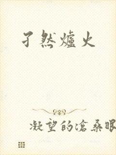 孑然炉火封面