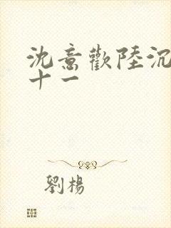 沈意欢陆沉舟二十一