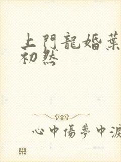 上门龙婚叶辰萧初然封面