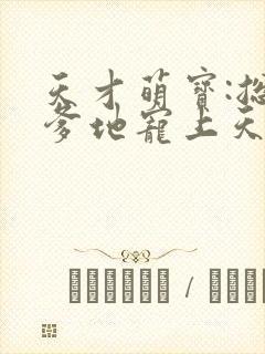 天才萌宝:总裁爹地宠上天