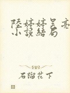 陆婷婷吴亮吴刚小说结局