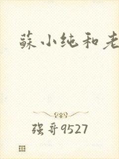 苏小纯和老苏封面