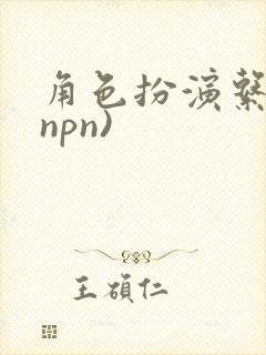 角色扮演系统(npn)