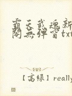 霸天武魂新笔趣阁无弹窗txt