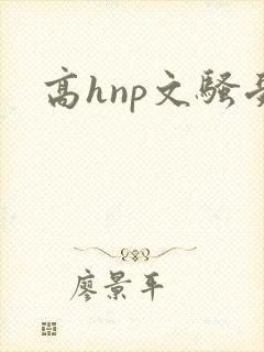 高hnp文骚受