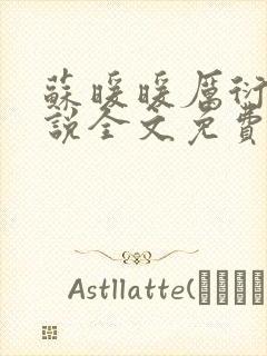 苏暖暖厉衍琛小说全文免费阅读