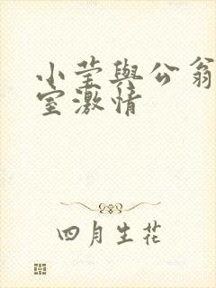 小莹与公翁办公室激情