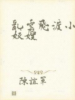 乱云飞渡小说之姣嫂封面