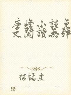 唐峰小说免费全文阅读无弹窗